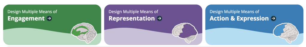 Universal Design for Learning image depicting designing for multiple means of engagement, representation and action and expression.
